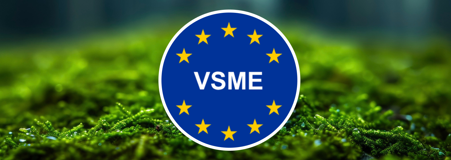 GUIDA 2026 report semplificato e Standard europeo per la rendicontazione volontaria di sostenibilità per le Piccole e Medie Imprese (VSME)